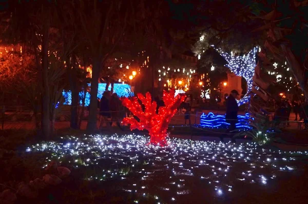 Рождественские Огни Салерно Италия — стоковое фото