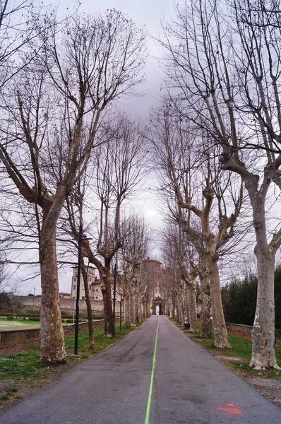 Entrance Avenue Villa Ambrogiana Montelupo Fiorentino Toskania Włochy — Zdjęcie stockowe