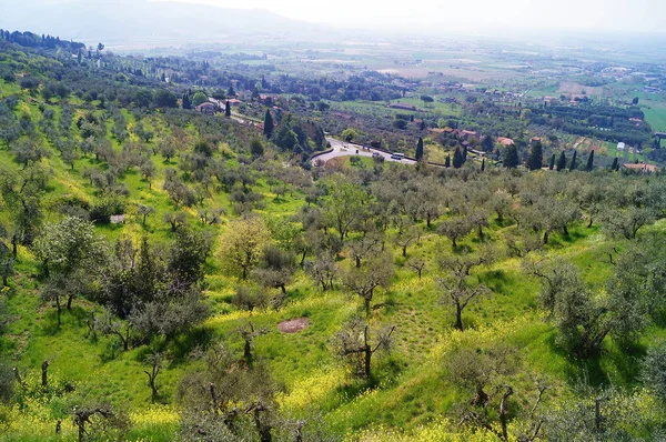 Panorama Campiña Toscana Alrededor Cortona — Foto de Stock