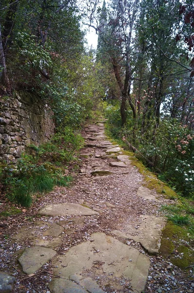 Sentiero Nel Bosco Intorno All Eremo Francescano Celle Cortona Toscana — Foto Stock