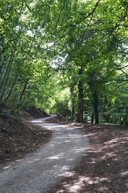 Martani Dağları Ormanı, Umbria, İtalya