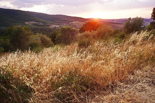 Güney Umbria kırsalında gün batımı, İtalya
