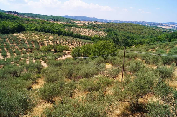 Άποψη Της Υπαίθρου Γύρω Από Giano Dell Umbria Perugia Umbria — Φωτογραφία Αρχείου