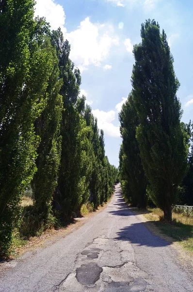 Avenida Entrada Para Abadia San Felice Umbria Itália — Fotografia de Stock