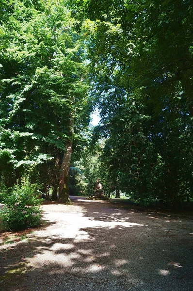 Parque Villa Medici Poggio Caiano Toscana Italia —  Fotos de Stock