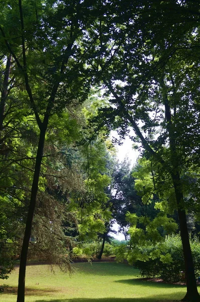 イタリア トスカーナ州ポッジョ カイアーノにあるメディチ家の別荘の公園 — ストック写真