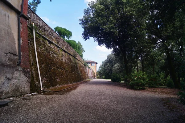 Parque Villa Medici Poggio Caiano Toscana Italia — Foto de Stock