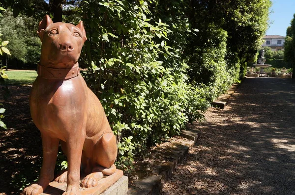 意大利托斯卡纳 佛罗伦萨波博利花园的陶瓷狗 — 图库照片