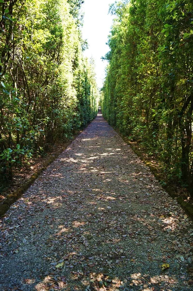 フィレンツェ トスカーナ イタリアのボボリ庭園の小さな通路 — ストック写真