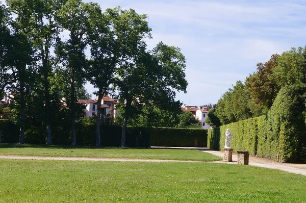 Floransa Toskana Talya Daki Boboli Bahçeleri Nde Çimenlik — Stok fotoğraf