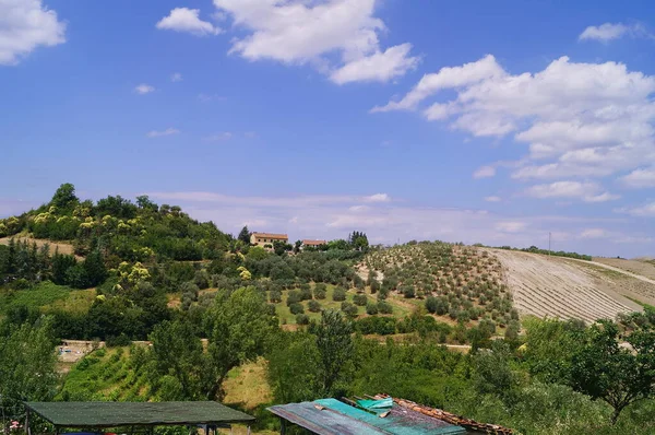 Panorama Countryside Medieval Village Certaldo Tuscany Italy — Stock Photo, Image