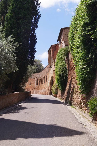Γύρω Από Τείχη Του Αρχαίου Μεσαιωνικού Χωριού Certaldo Τοσκάνη Ιταλία — Φωτογραφία Αρχείου