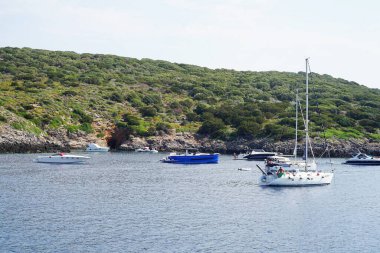 İtalya, Toskana 'daki Giannutri Adası' nın manzarası
