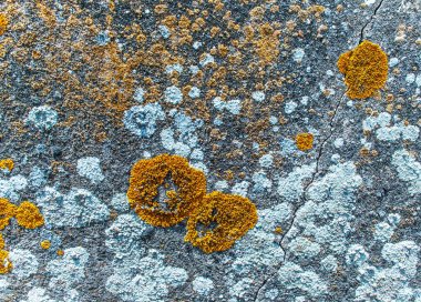 modern stil tasarım dekoratif çatlak taş duvar desen gri renk, çimento ile yüzey