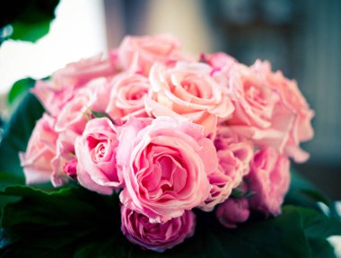 Soyunma masasının üzerinde güzel pembe güller