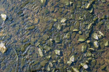 Derinin sığ bir bölgesinde su yosunlarıyla kaplı kayaların üzerinden akan suyun desenli, dünyevi görüntüsü..