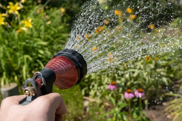 Bir Bahçe Hortumunu Tutar Hortumu Sıkar Bahçedeki Çiçekleri Sular — Stok fotoğraf