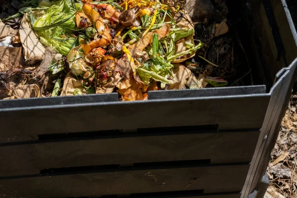 Sebuah Tempat Sampah Luar Yang Terbuat Dari Plastik Hitam Mengandung — Stok Foto