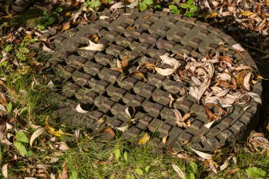 Sonbaharda ağaçlardan düşen yapraklar bir yeraltı kanalizasyon girişinin metal kapağında yatar..