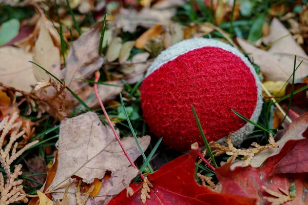 芝と紅葉に囲まれた地面には 赤と白のテニスボールが間近に見られます — ストック写真