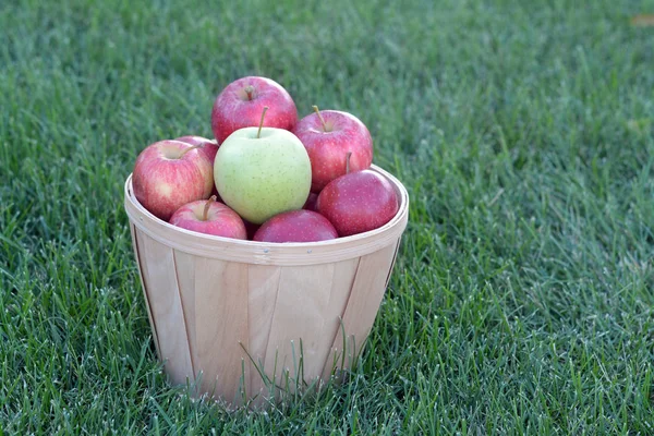 Appel fruit — Stockfoto