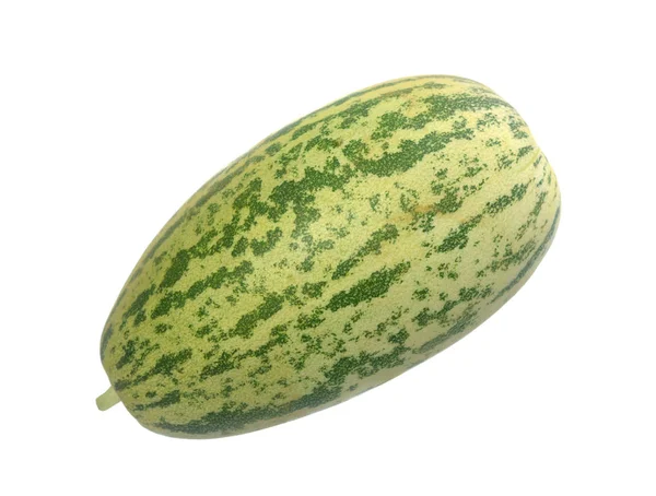 Melone Cobra Isolato Sfondo Bianco — Foto Stock