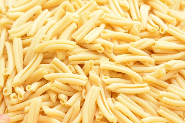 Bucatini pasta — Stock Photo, Image