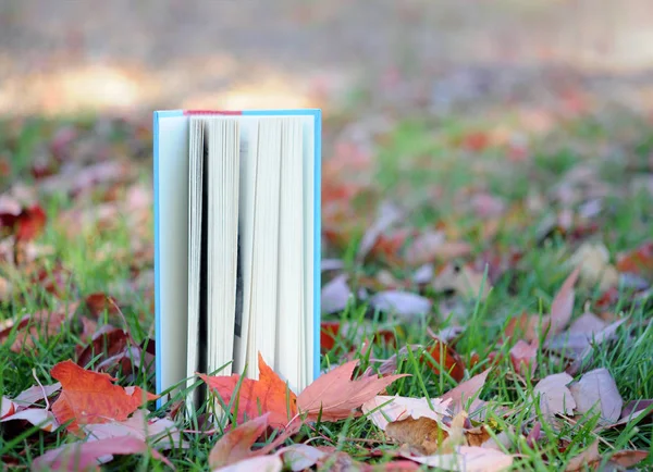 秋の季節の本 — ストック写真