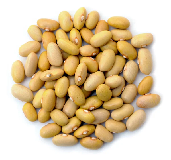 Carany bean — Stock Photo, Image