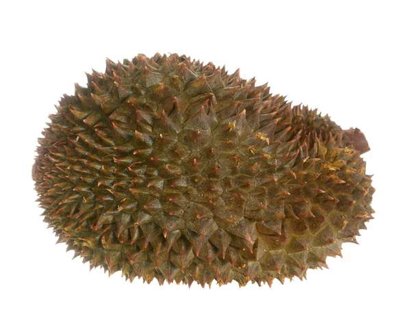 Maduro durian — Fotografia de Stock