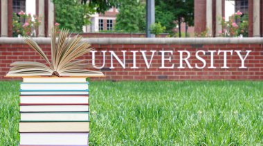 Üniversitede eğitim kavramı