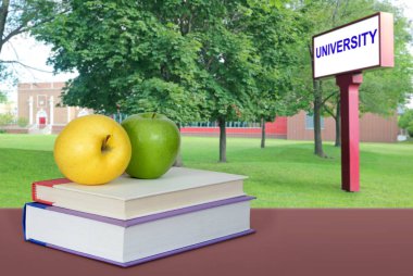 kitap ve üniversite