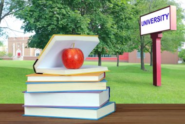 kitap ve üniversite