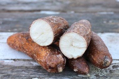 yuca masada 
