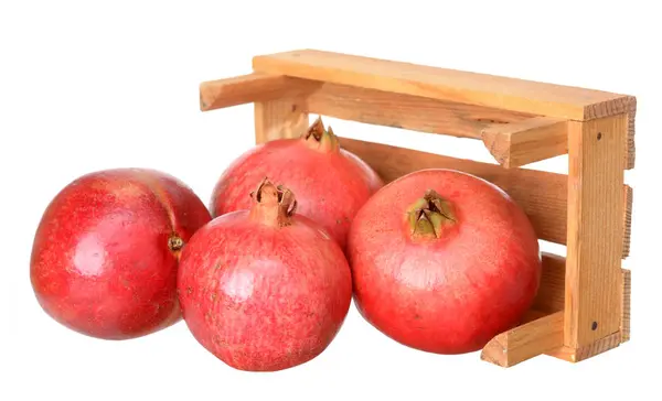 Pomegranate — Stock Photo, Image