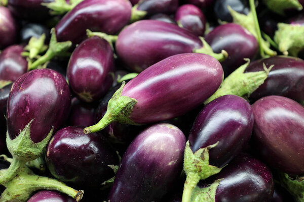 eggplant