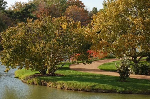 Herbstszene Mit Parkstraße Und Teich — Stockfoto