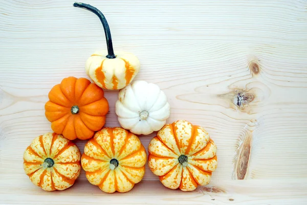 Primer Plano Las Calabazas Otoño Decoración Halloween — Foto de Stock