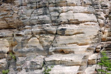 Yeşil bitki ve ağaçlarla kaplı kayalık adanın manzarası