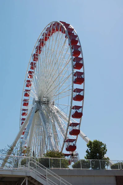 ferris wheel in the park of the city