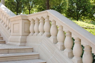 Bahçedeki bitkilerin gündüz görüntüsü 