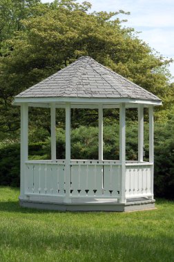 Bahçedeki bitkilerin gündüz görüntüsü 