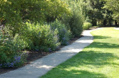 İlkbaharda bahçede patika