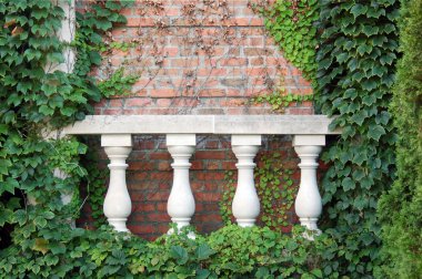 Gündüz vakti sarmaşıklarla kaplı duvarın kapatılması 