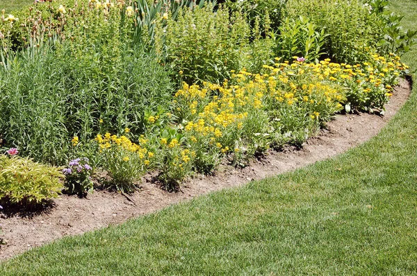 Vista Panorámica Del Jardín Moderno Con Una Variedad Plantas Árboles —  Fotos de Stock