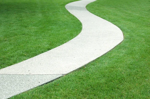 Primo Piano Della Strada Attraverso Erba Verde — Foto Stock