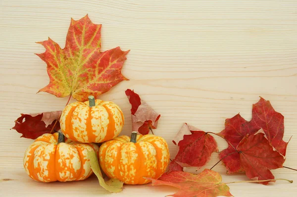 Primer Plano Las Calabazas Otoño Decoración Halloween — Foto de Stock