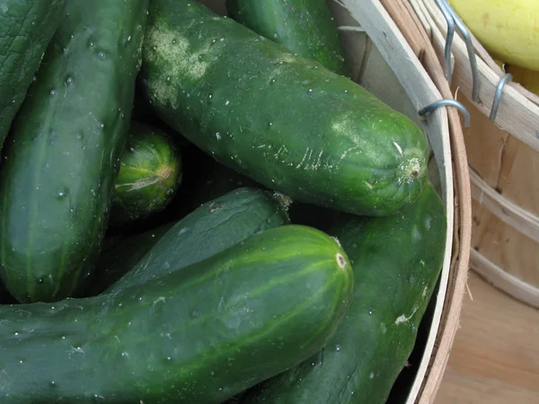 Closeup Green Cucumbers Wooden Basket — Stock Photo, Image