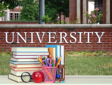 Eğitim konsepti: Üniversitenin önündeki kitap yığını