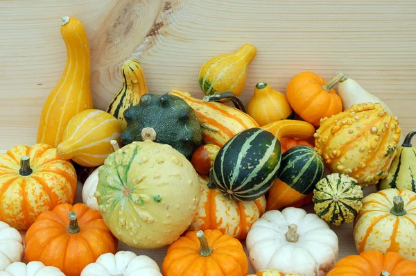 Primo Piano Zucche Autunno Decorazione Halloween — Foto Stock